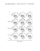 Antigen Presenting Cell Targeted Anti-Viral Vaccines diagram and image