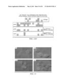 Antigen Presenting Cell Targeted Anti-Viral Vaccines diagram and image