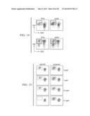 Antigen Presenting Cell Targeted Anti-Viral Vaccines diagram and image