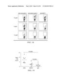 Antigen Presenting Cell Targeted Anti-Viral Vaccines diagram and image