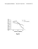 ANTIBODIES AGAINST EPIDERMAL GROWTH FACTOR RECEPTOR (EGFR) AND USES     THEREOF diagram and image