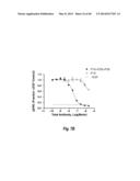 ANTIBODIES AGAINST EPIDERMAL GROWTH FACTOR RECEPTOR (EGFR) AND USES     THEREOF diagram and image