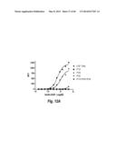 ANTIBODIES AGAINST EPIDERMAL GROWTH FACTOR RECEPTOR (EGFR) AND USES     THEREOF diagram and image