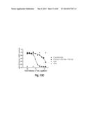 ANTIBODIES AGAINST EPIDERMAL GROWTH FACTOR RECEPTOR (EGFR) AND USES     THEREOF diagram and image