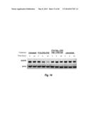 ANTIBODIES AGAINST EPIDERMAL GROWTH FACTOR RECEPTOR (EGFR) AND USES     THEREOF diagram and image