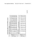 ANTIBODIES AGAINST EPIDERMAL GROWTH FACTOR RECEPTOR (EGFR) AND USES     THEREOF diagram and image