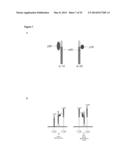 ANTIBODY DERIVATIVES diagram and image