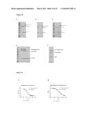 ANTIBODY DERIVATIVES diagram and image