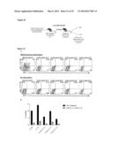 ANTIBODY DERIVATIVES diagram and image