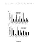 Agent for the Treatment of Hormone-Dependent Disorders and Uses Thereof diagram and image