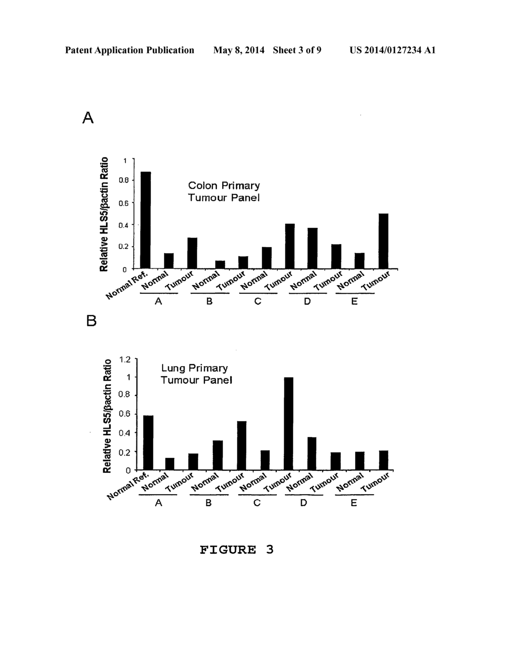 Agent for the Treatment of Hormone-Dependent Disorders and Uses Thereof - diagram, schematic, and image 04