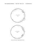 HUMANISED ANTI-CD52 ANTIBODIES diagram and image