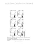 HUMANISED ANTI-CD52 ANTIBODIES diagram and image