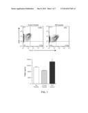 Anti-Inflammatory Peptide Derived From Thrombospondin-1 and Uses Thereof diagram and image