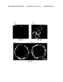 MULTIFUNCTIONAL NANOPARTICLE DESIGNS AND APPLICATIONS diagram and image