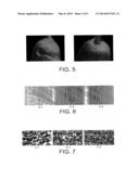 Caprolactam-Based Composition, Process for Manufacturing an Impermeable     Element, and Tank diagram and image