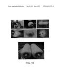 Caprolactam-Based Composition, Process for Manufacturing an Impermeable     Element, and Tank diagram and image