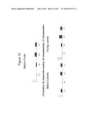 DISEASE DETECTION IN PLANTS diagram and image