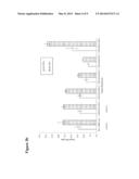 DUAL PROBE ASSAY FOR THE DETECTION OF HCV diagram and image