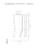 DUAL PROBE ASSAY FOR THE DETECTION OF HCV diagram and image