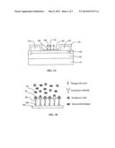 MATERIALS AND METHODS FOR DETECTING TOXINS, PATHOGENS AND OTHER BIOLOGICAL     MATERIALS diagram and image