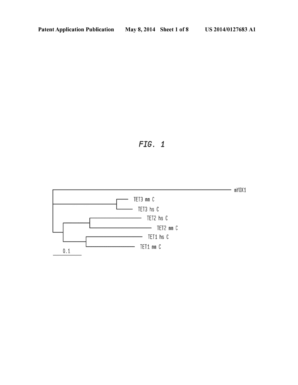 Compositions and Methods for Oxygenation of Nucleic Acids Containing     5-Methylpyrimidine - diagram, schematic, and image 02