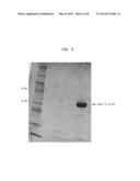 Compositions and Methods for Oxygenation of Nucleic Acids Containing     5-Methylpyrimidine diagram and image