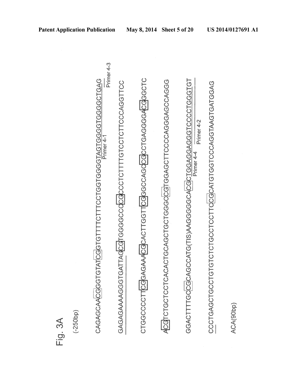 METHOD FOR DIAGNOSING TYPE OF PANCREATIC TUMOR - diagram, schematic, and image 06