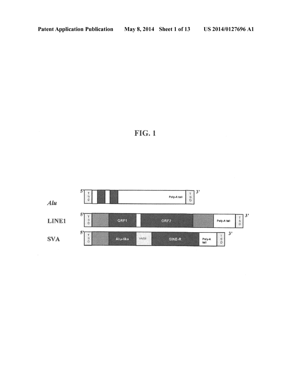 METHOD FOR GENETIC DETECTION USING INTERSPERSED GENETIC ELEMENTS: A     MULTIPLEXED DNA ANALYSIS SYSTEM - diagram, schematic, and image 02