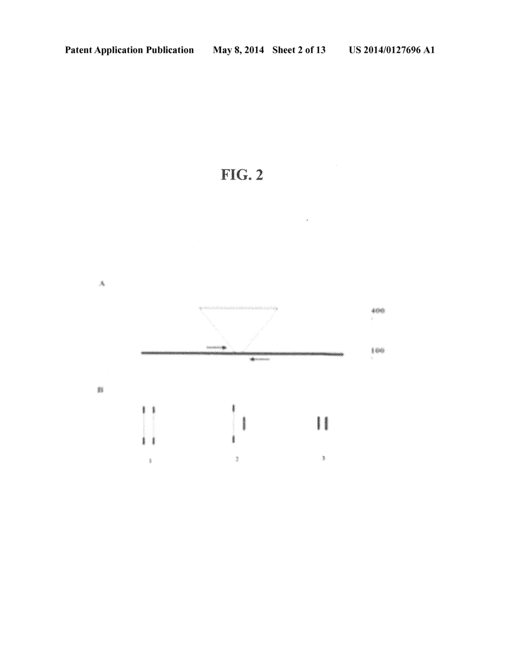 METHOD FOR GENETIC DETECTION USING INTERSPERSED GENETIC ELEMENTS: A     MULTIPLEXED DNA ANALYSIS SYSTEM - diagram, schematic, and image 03