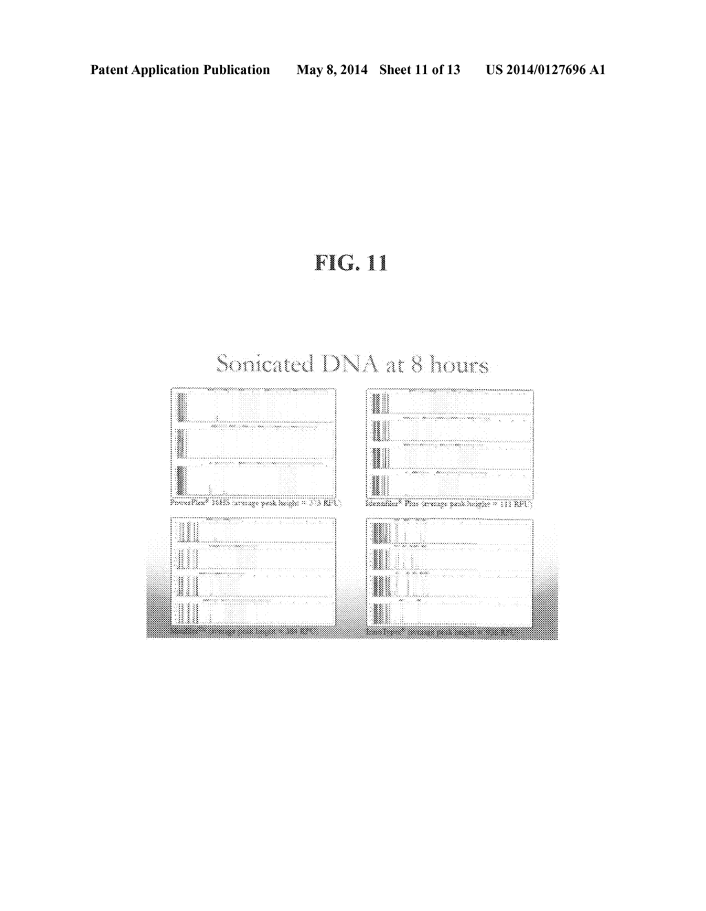 METHOD FOR GENETIC DETECTION USING INTERSPERSED GENETIC ELEMENTS: A     MULTIPLEXED DNA ANALYSIS SYSTEM - diagram, schematic, and image 12