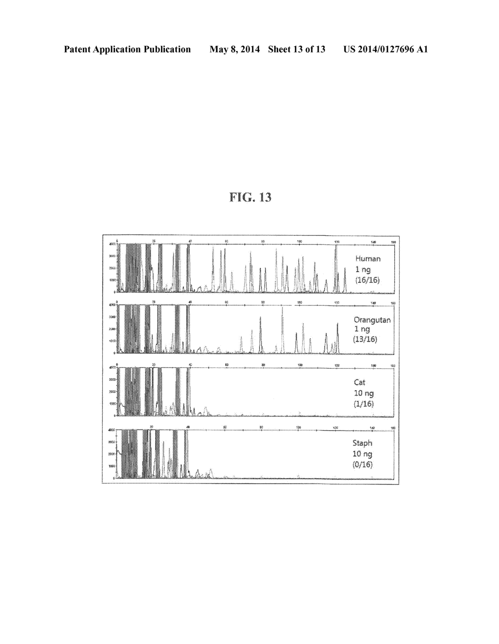 METHOD FOR GENETIC DETECTION USING INTERSPERSED GENETIC ELEMENTS: A     MULTIPLEXED DNA ANALYSIS SYSTEM - diagram, schematic, and image 14