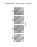 NUCLEIC ACID SAMPLE PREPARATION diagram and image