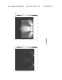 NUCLEIC ACID SAMPLE PREPARATION diagram and image