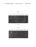 Method for Evaluating and Comparing Immunorepertoires diagram and image