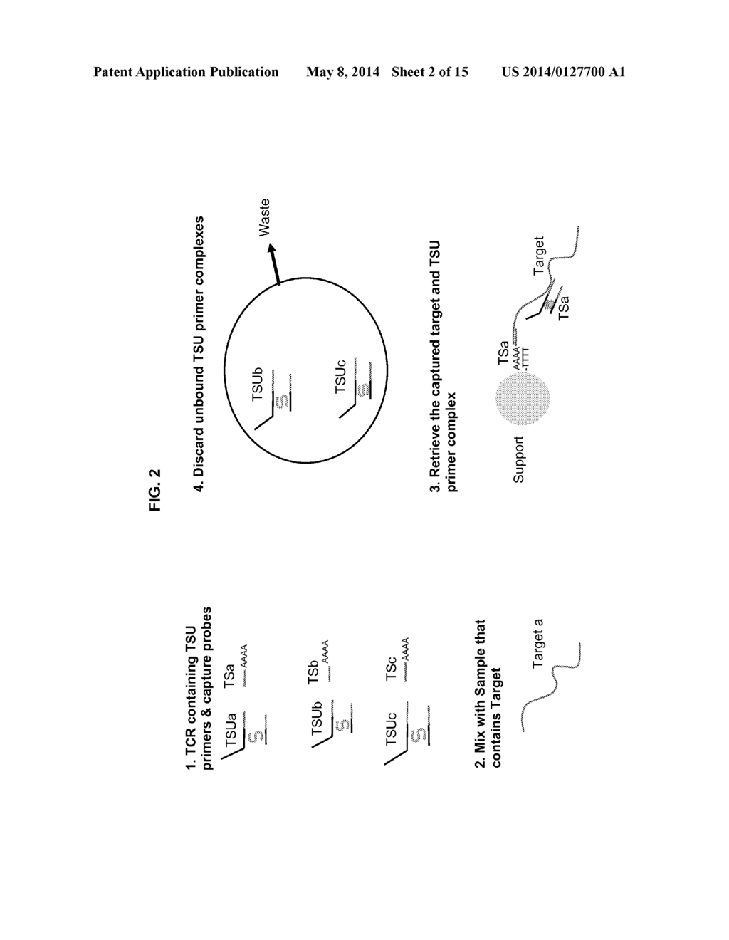METHODS AND COMPOSITIONS FOR NUCLEIC ACID AMPLIFICATION - diagram, schematic, and image 03