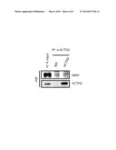 KIT FOR DIAGNOSING CARDIOMYOPATHY AND METHOD FOR PREDICTING CARDIOMYOPATHY diagram and image