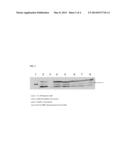 IDENTIFICATION OF SECRETED PROTEINS AS DETECTION MARKERS FOR CITRUS     DISEASE diagram and image