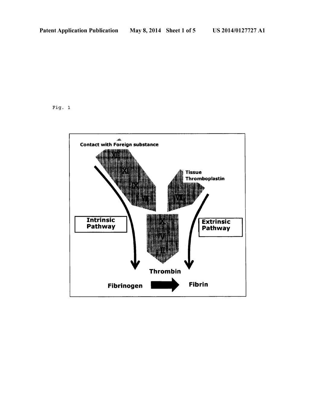 BLOOD COAGULATION TIME PROLONGING AGENT - diagram, schematic, and image 02