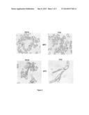 Production of Heterologous Extracellular Polypeptides in Yarrowia     Lipolytica diagram and image