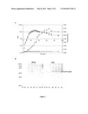 Production of Heterologous Extracellular Polypeptides in Yarrowia     Lipolytica diagram and image