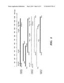 FAGOPYRITOL SYNTHASE GENES AND USES THEREOF diagram and image