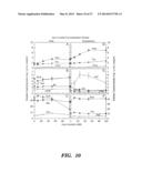 FAGOPYRITOL SYNTHASE GENES AND USES THEREOF diagram and image