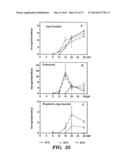 FAGOPYRITOL SYNTHASE GENES AND USES THEREOF diagram and image