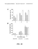 FAGOPYRITOL SYNTHASE GENES AND USES THEREOF diagram and image