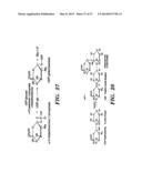 FAGOPYRITOL SYNTHASE GENES AND USES THEREOF diagram and image