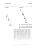 FAGOPYRITOL SYNTHASE GENES AND USES THEREOF diagram and image