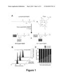 Method for the Synthesis of Porphyrin-Phospholipid Conjugates diagram and image