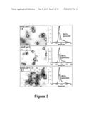 Method for the Synthesis of Porphyrin-Phospholipid Conjugates diagram and image