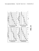 ENZYMATIC NUCLEIC ACID SYNTHESIS: COMPOSITIONS AND METHODS FOR INHIBITING     PYROPHOSPHOROLYSIS diagram and image